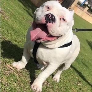 Meet your Posher, Kamal